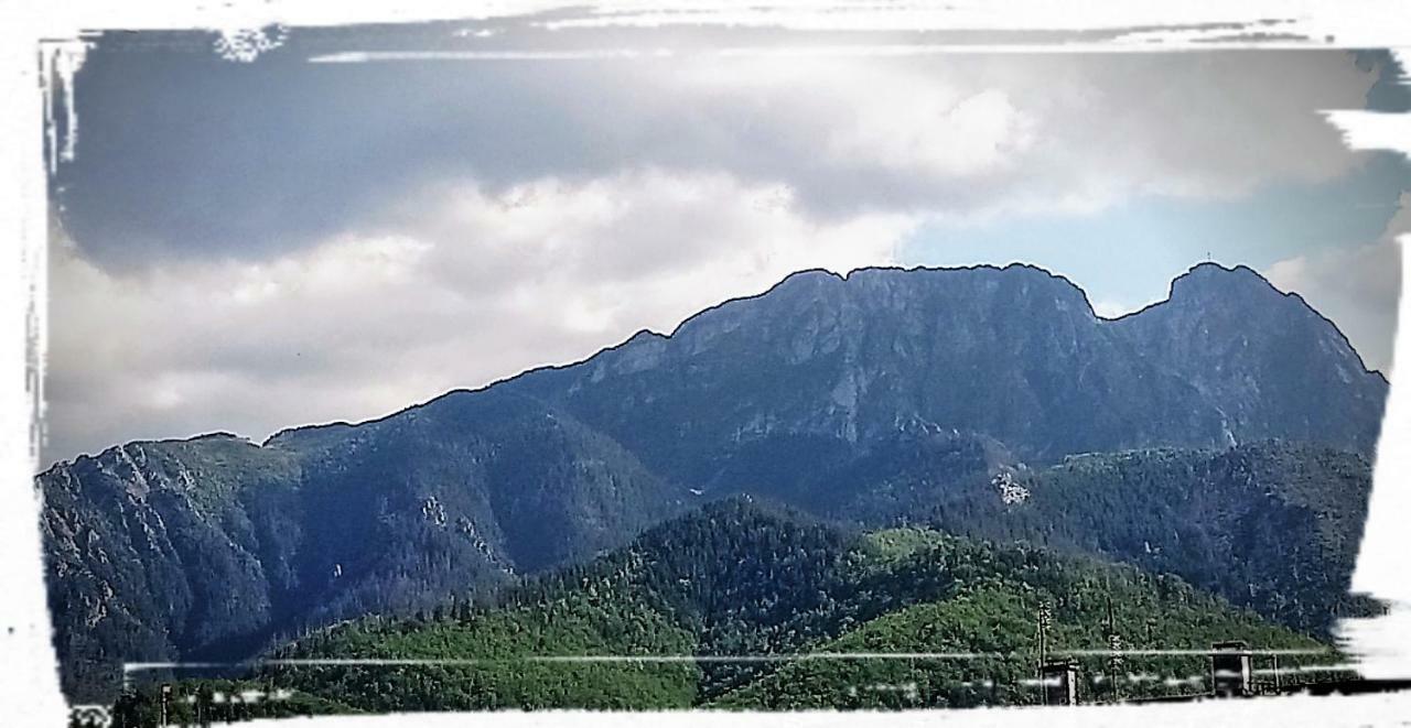 Pokoje W Centrum "Cicha" Zakopane Esterno foto